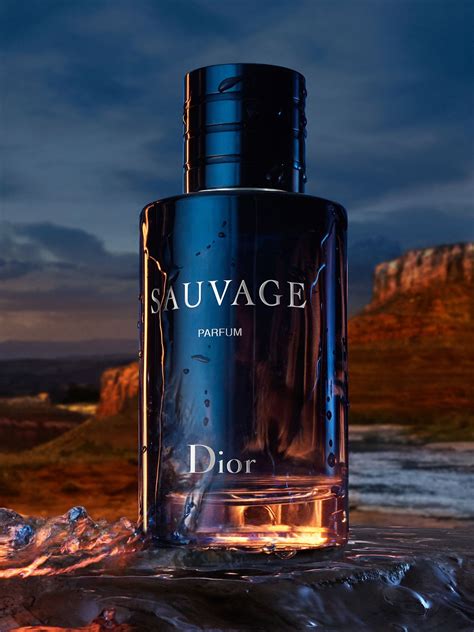 dior savagw|sauvage dior cost.